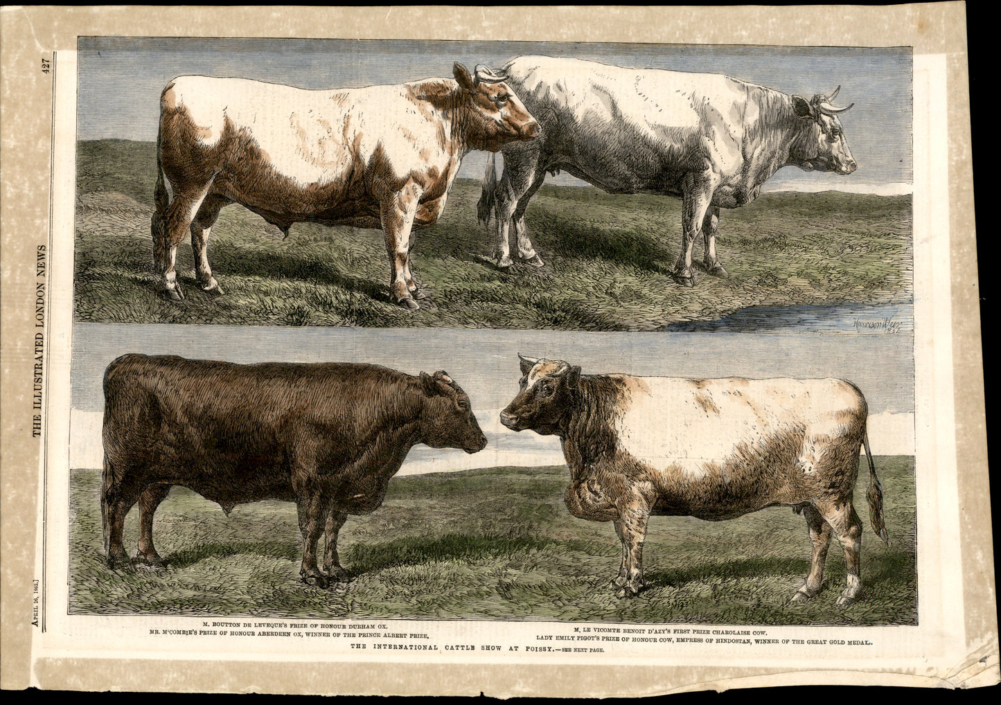 International Cattle Show at Poissy, France
