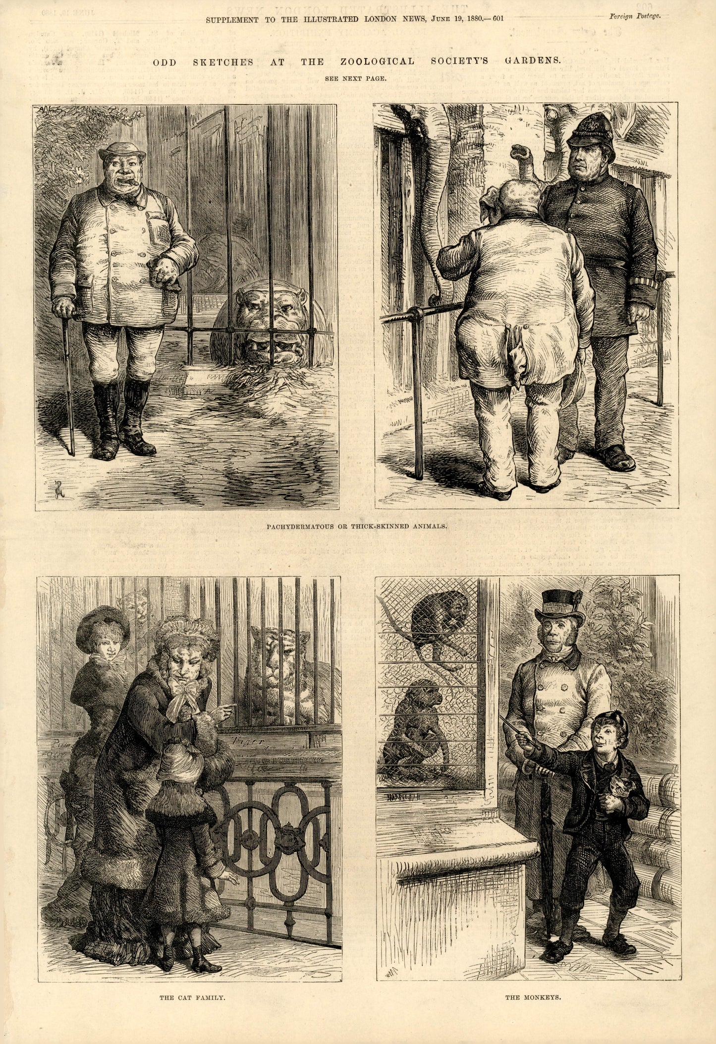 Odd Sketches at the Zoological Gardens: Like Master Like Man — Illustrated London News, 1881