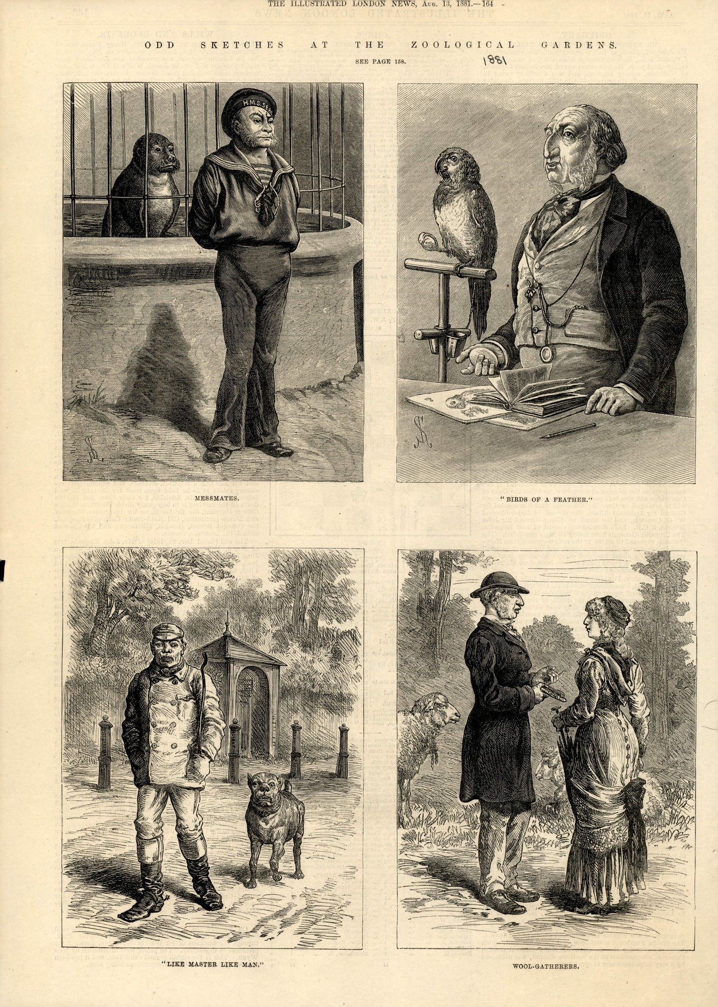 Odd Sketches at the Zoological Gardens, August 13, 1881