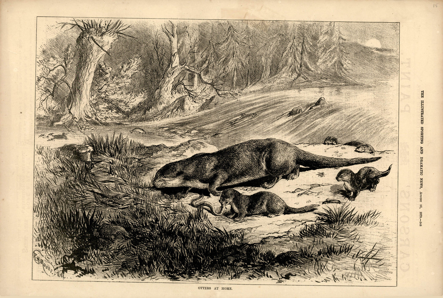 Otters at Home — The Illustrated Sporting & Dramatic News, August 1879