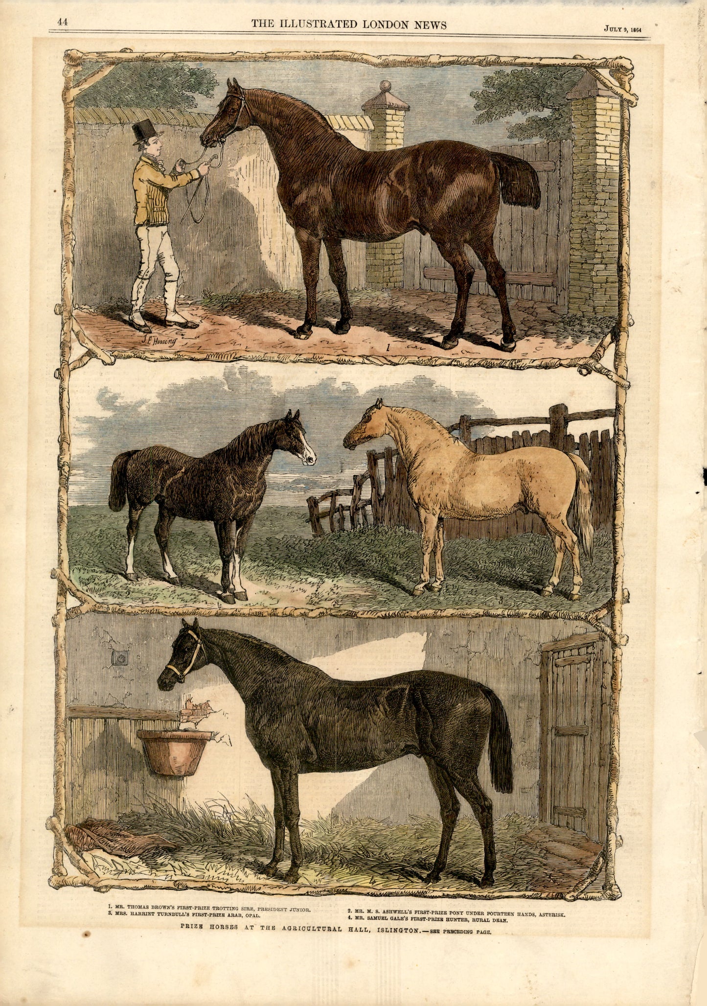 Prize Horses at the Agricultural Hall, Islington