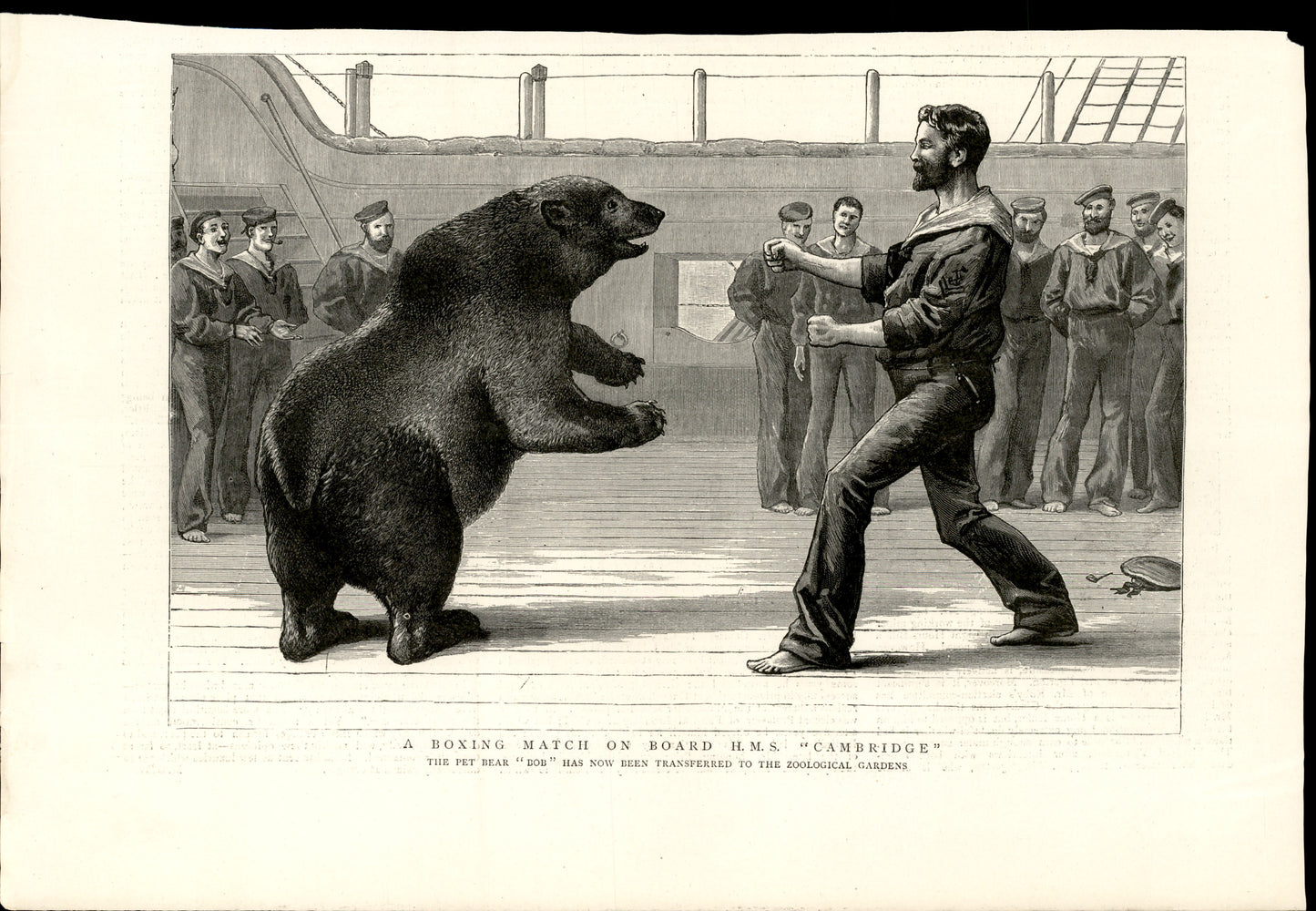 A Boxing Match on Board H.M.S. Cambridge — The Graphic, 18 October 1890